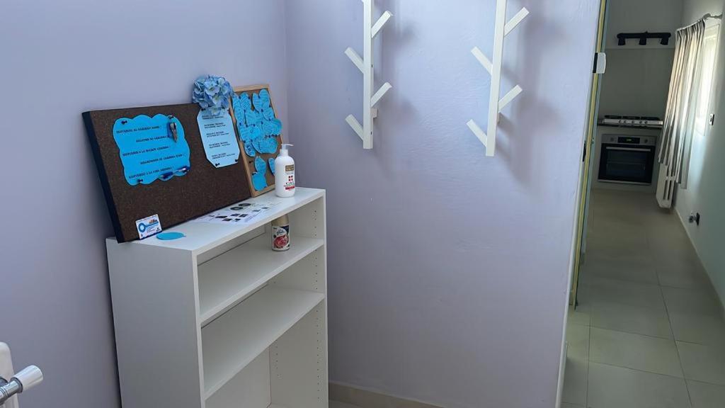 Appartement Azzurra House à Marina Di Pisa Extérieur photo